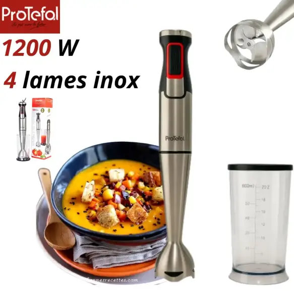 Protefal bras mixeur inox 1200w FY8020 Inox