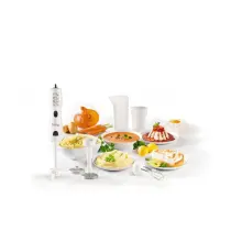 Moulinex Bras Mixeur Marie DDG10110