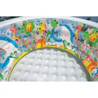 Intex 5848 Piscine d'aquarium