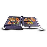 Panineuse Techwood Grill Panini TGD-2000