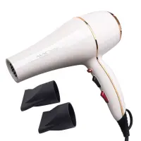 Mac Styler Sèche-cheveux professionnel MC-6689