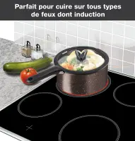 TEFAL ingenion extrem induction L6789102