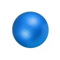 Fitness ball Ballon De Gym 75Cm  Bleu