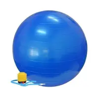 Fitness Ballon De Gym Avec Pompe  85 Cm  Bleu